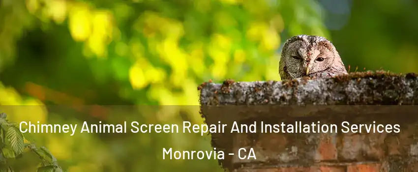  Chimney Animal Screen Repair And Installation Services Monrovia - CA