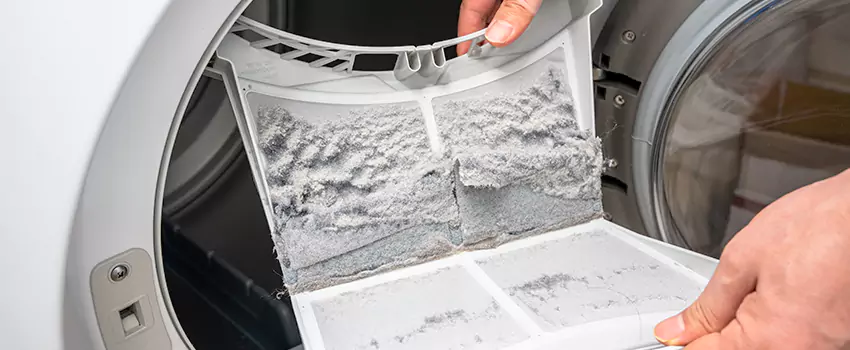 Best Dryer Lint Removal Company in Monrovia, California
