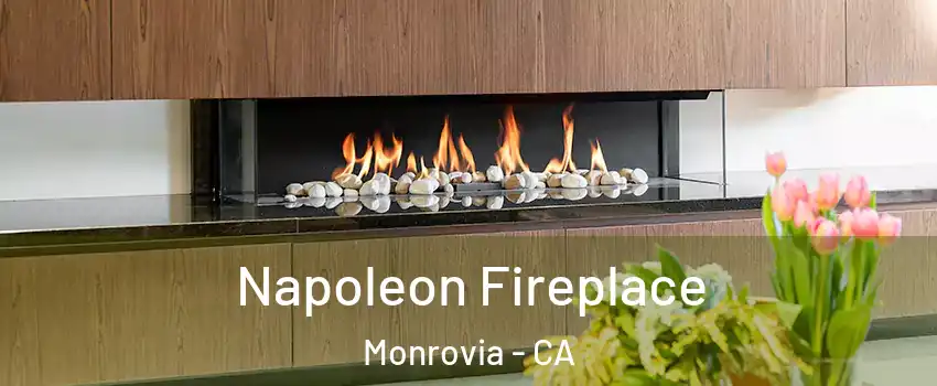  Napoleon Fireplace Monrovia - CA